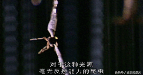 勇闯洞穴迷宫：感受地球脉动 享受难忘旅程