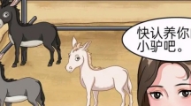 《就挺秃然的》认养一头驴怎么过