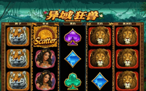 干货！电子游戏玩法技巧攻略分享