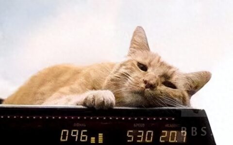 漫威对决：幻象迷境魔大型攻略