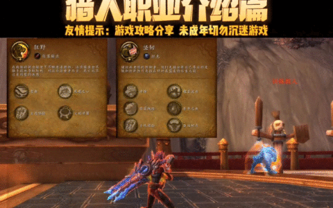 全网最详细的魔兽世界攻略解说全集。