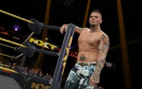 《WWE 2K15》粉丝向新手细节分享攻略