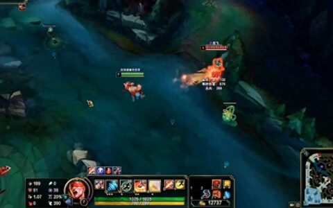 分享几个盲僧的技巧